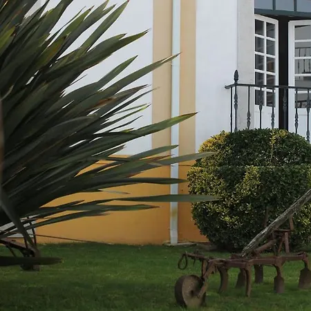 Real D 4* 오비도스